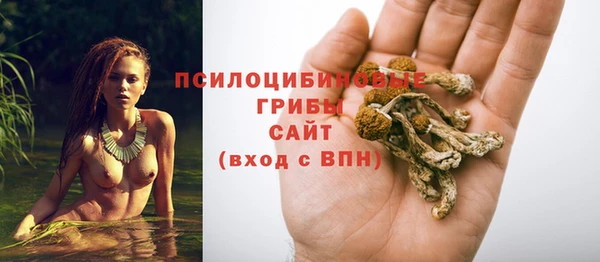 ПСИЛОЦИБИНОВЫЕ ГРИБЫ Алексеевка