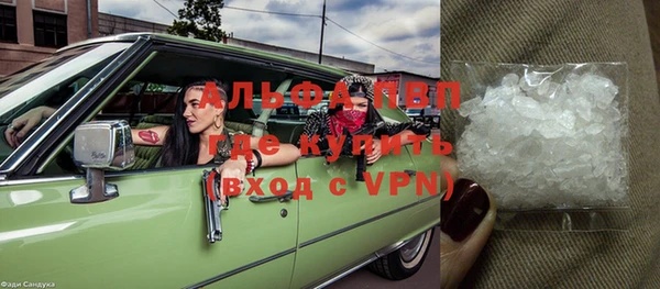 прущий лед Алзамай