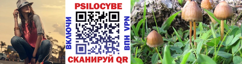 Галлюциногенные грибы Magic Shrooms  Куртамыш 