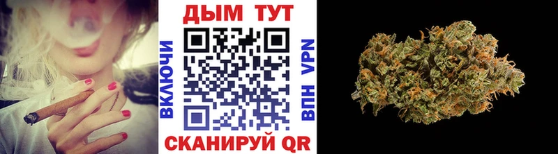 хочу наркоту  Куртамыш  Шишки марихуана план 